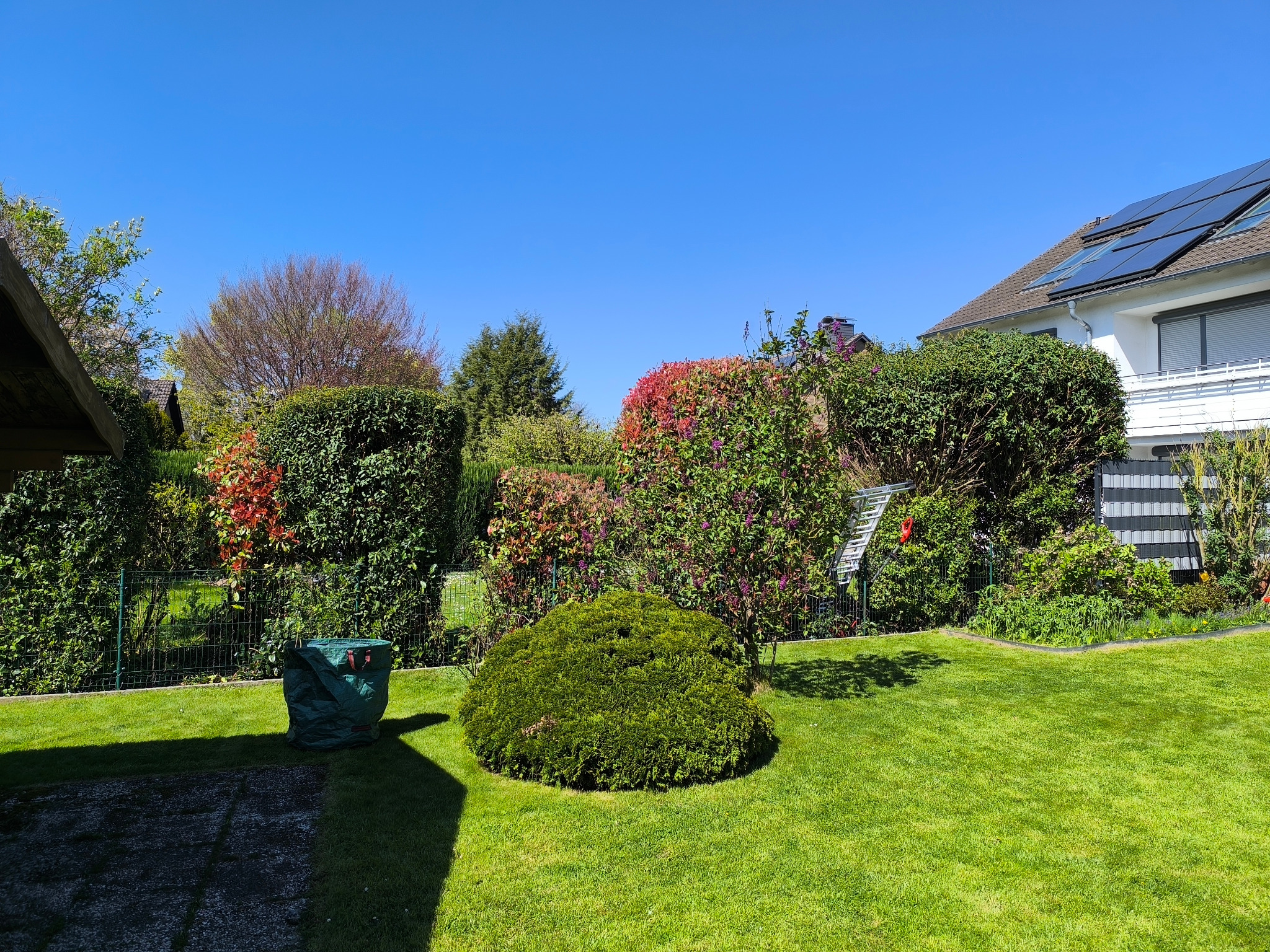 Gepflegter Garten mit Hecken und Rasen