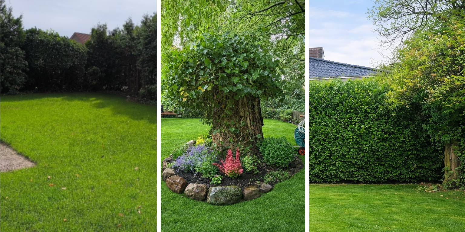 Allgemeine Gartenpflege